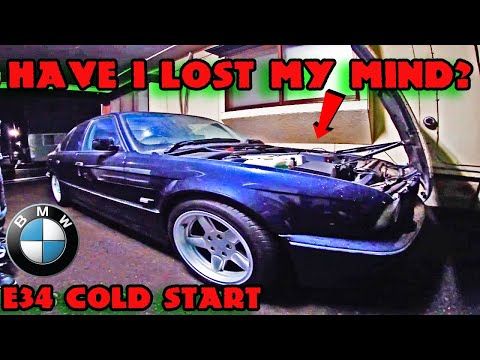 I ALMOST Bought This Classic BMW E34 AC SCHNITZER From Japanese Gentleman!!! Cold Start!