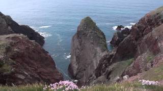 Pembrokeshire Holiday May 2015