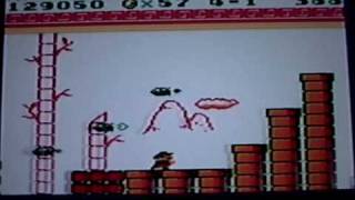 mario land part 4.wmv