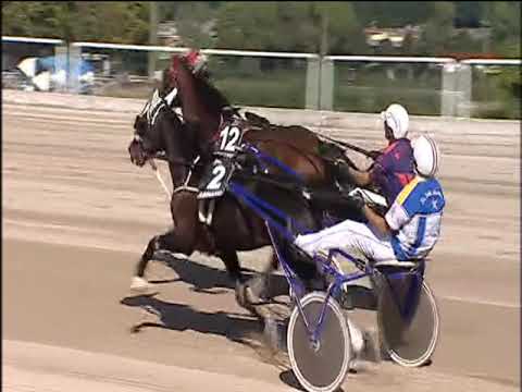 Trotto 20/09/2019 - 3ª corsa