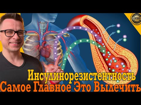 Самое главное – это вылечить ИНСУЛИНОРЕЗИСТЕНТНОСТЬ Самое главное – это вылечить ИНСУЛИНОРЕЗИСТЕНТНОСТЬ