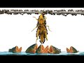 Ant Colony Simulation Can They Pass 4 Extreme Challenges ANTTREK