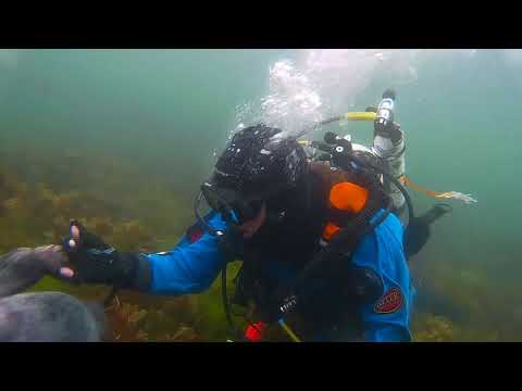 download lagu mp3 mp4 Mutual Trust, download mp3 Mutual Trust free downloadn, video klip Mutual Trust