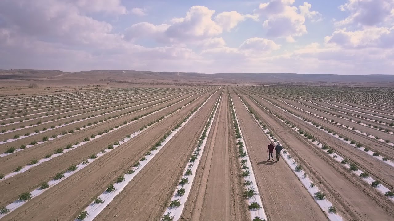 Agriculture in the Negev: Today’s Desert Pioneers (5-minute clip)