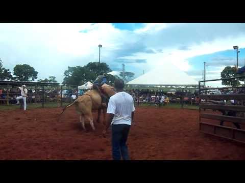 henrique ferreira vs sigilo cia jn