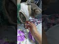 Grey Tabby Cat Bedtime Story Shorts