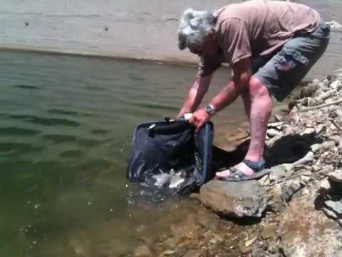 Coarse Fishing Holidays in Extremadura Spain