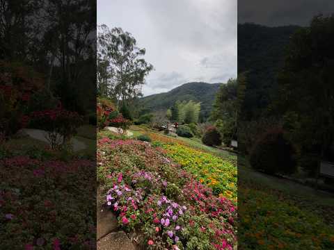 Jardim dos Pinhais Ecco Parque - Santo Antônio do Pinhal