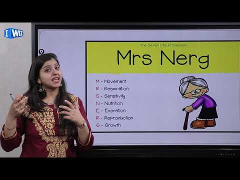 Life Processes Class 10 | Science / Biology | Life Cycle | MRS NERG Method | Nutrition | Dr. Sarika Video