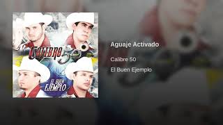 Aguaje Activado