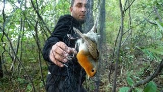 Emptying the Skies - San Francisco Green Film Festival