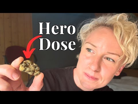 I Went to a Magic Mushroom Retreat (my FULL experience)