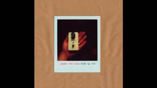 Pedro the Lion - Political Science