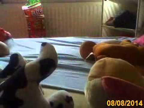 de knuffel show door sophie pena en lotte pena