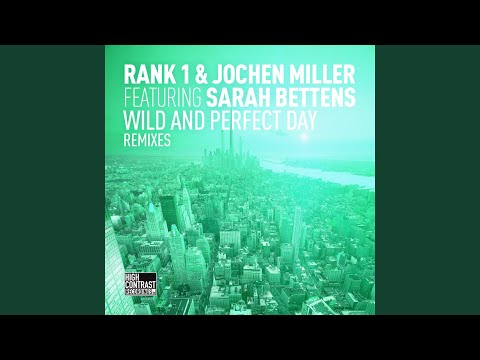 Wild and Perfect Day (feat. Sarah Bettens) (Denzal Park Remix)