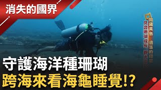 印尼有海底亞馬遜! 跨海來看海龜睡覺 布納肯種珊瑚正夯│李文儀主持│【消失的國界PART2】20250908│三立新聞台
