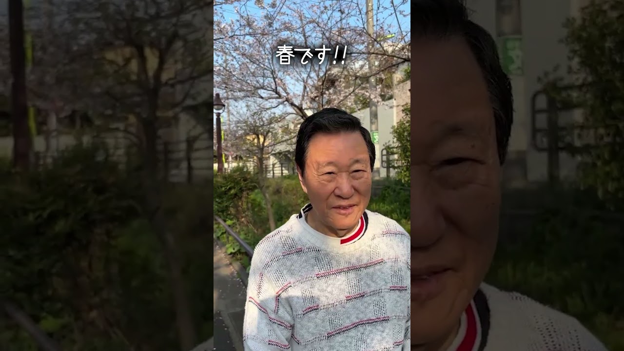 春です。#なべおさみ #桜 #世田谷