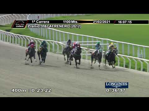 210221 c01 DON BICHO