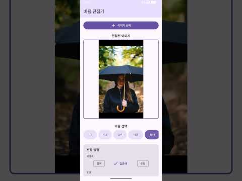 이미지 비율