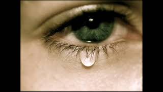 Hammerfall - Never, Ever