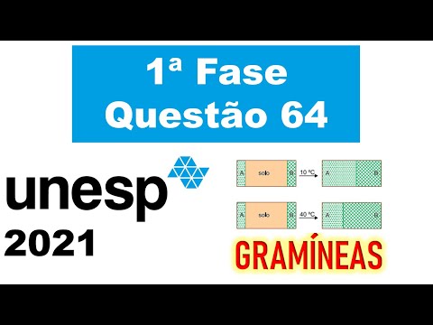 (UNESP 2021) A figura mostra um experimento realizado com duas espécies de gramíneas, A e B...