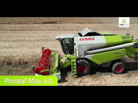 Żniwa 2022 odmian rzepaku ozimego od PROCAM