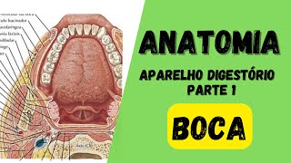 ANATOMIA  - Aparelho digestório (Parte 1) - Boca
