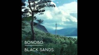 Bonobo - 11. Animals (Black Sands)