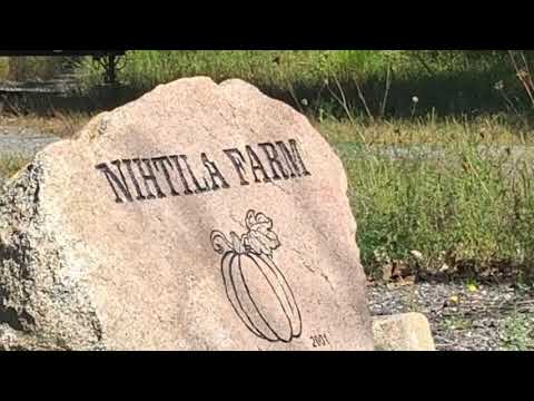 A Virtual Field Trip To Nihtila Farm In Holbrook, MA