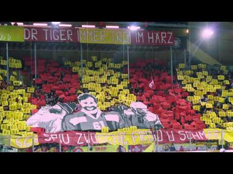 Choreo "Dr Tiger immer treu im Härz" (SCL Tigers vs. ZSC Lions)