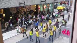 Download lagu Chennai Super Kings (CSK) Flash Mob/Song Stockholm, Sweden 2013 IPL mp3