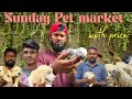 Sunday Pet Market Chennai With Price Details 08 May 2025