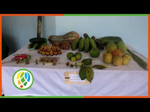 Minas de Matahambre analiza retos en la producción de alimentos
