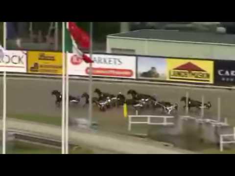 Elitloppet 2010 Second Elimination - Torvald Palema / Å. Svanstedt