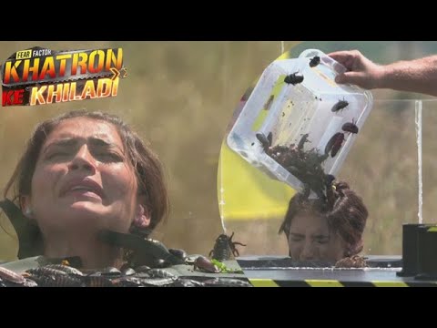 Khatron Ke Khiladi 10 Update: Karishma Tanna Faces Her Fear In The Latest Task
