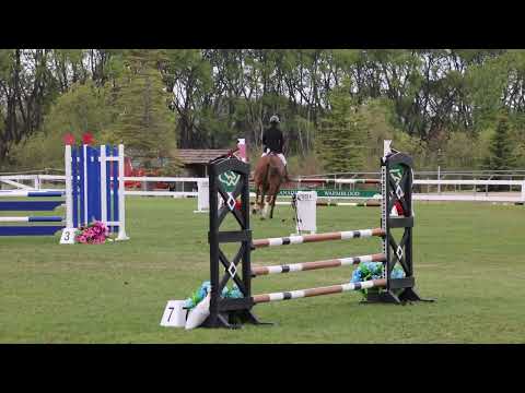 Lamborgini EF Blue Sky Classic