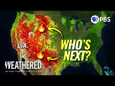I Know Why LA Burned. And It WILL Happen Again.