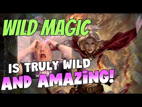 2024 Player's Handbook: Sorcerer and Subclasses D&D 5.24