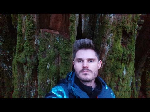 @iprovide jobs 2 more tracks from Brad Strickland photos taken 11.9.15