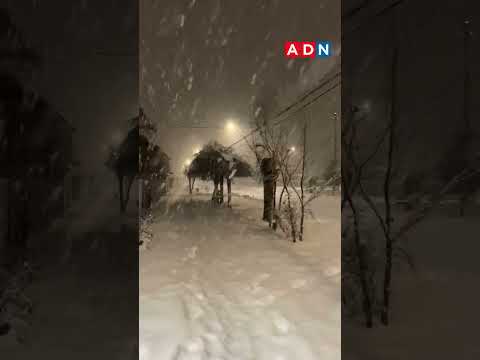 Registran caída de nieve en sectores como Vilcún y Lonquimay
