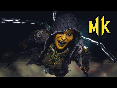 MK11 - D'vorah brutality combo