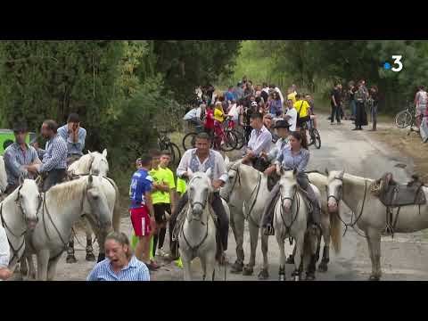 Mauguio : fête votive, abrivado et course camarguaise, on célèbre les taureaux et la bouvine
