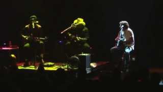 Les Claypool 'Duo de Twang' ~ The Battle of New Orleans (Live @ Gramercy Theater)