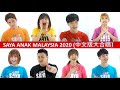 Saya Anak Malaysia 2020 (All-star Mandarin Version) Official MV