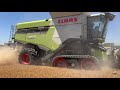 Wheat Harvest 2022 near Greenville Ohio