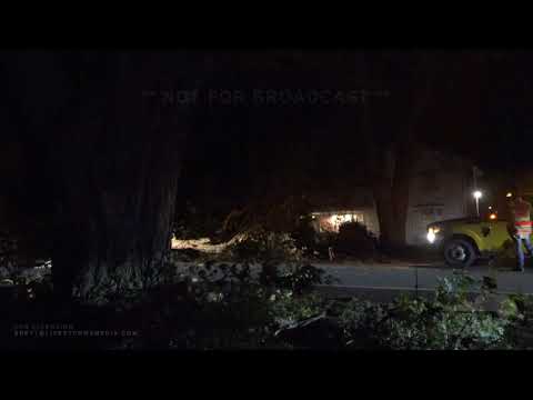 10-31-19 Erie, PA - High Wind Warning - Tree (on road) Just Misses House - Lots of Trees Down