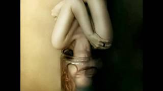 Max Richter - Organum