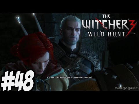 The Witcher 3 Wild Hunt - Gameplay Walkthrough Part 48 [ HD ]