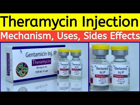 Theramycin gentamicin injection, 80mg