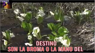 Nunca el tiempo es perdido - Manolo Garcia - KARAOKE2.COM